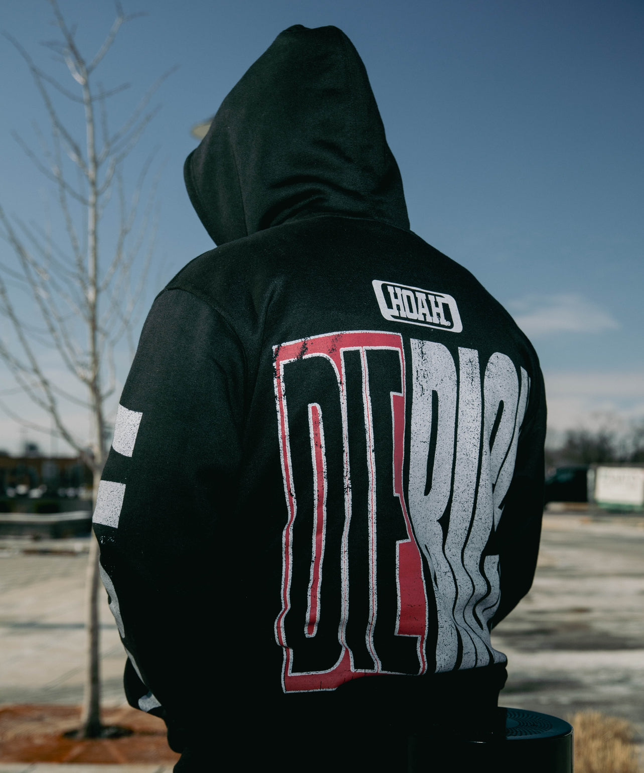 “Die Rich” Hoodie